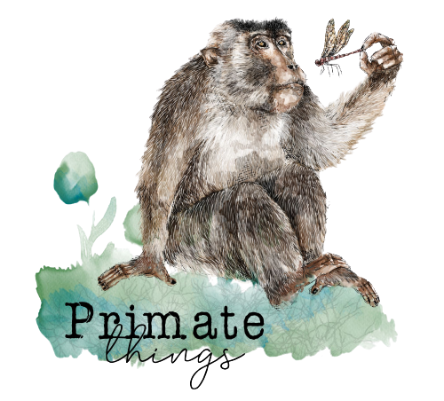 Primate Studies Blog
